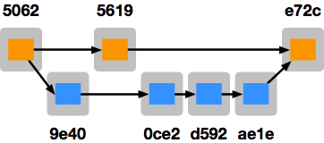image:3:1263206231-hg-repos.png